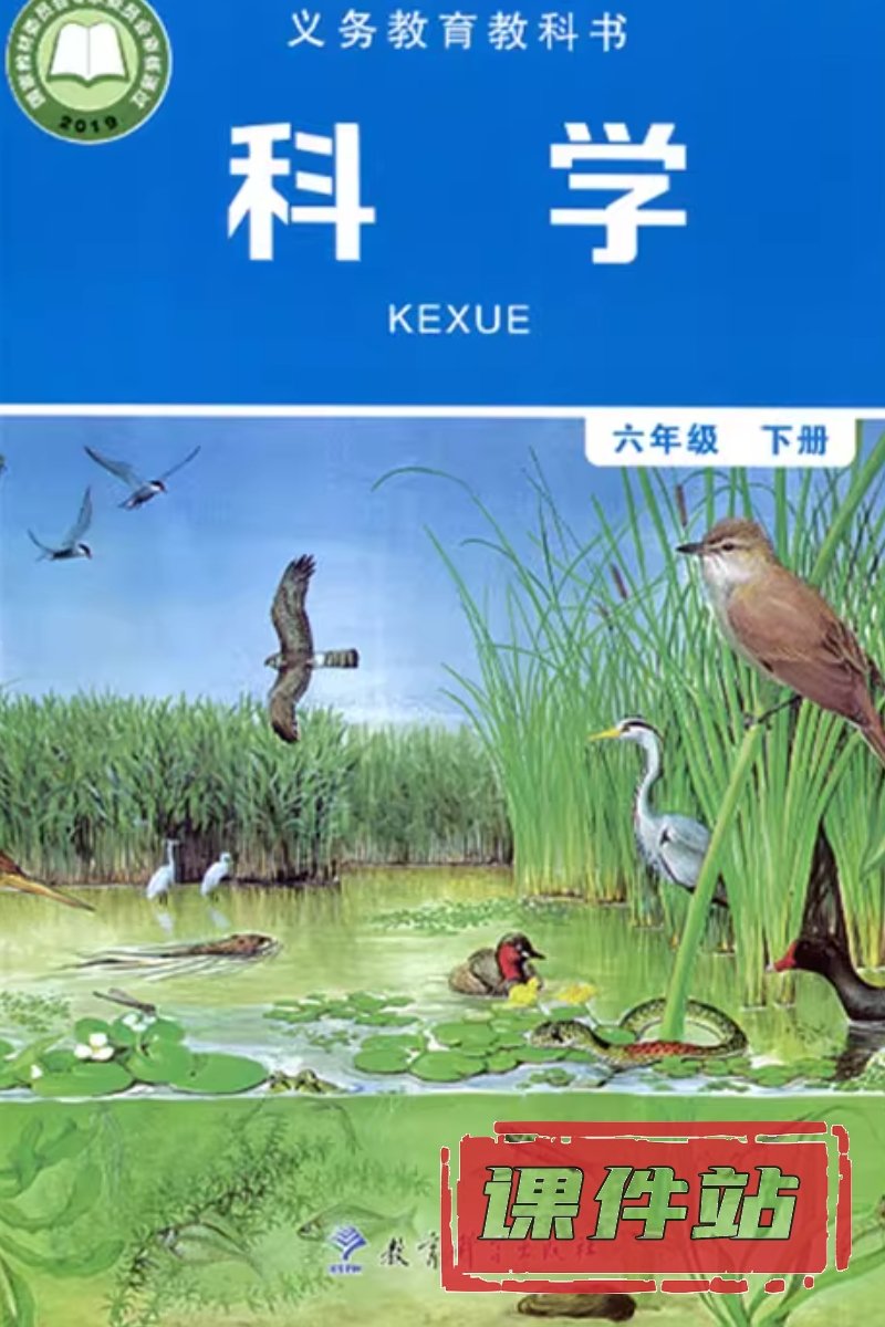 教科版六年级科学下册