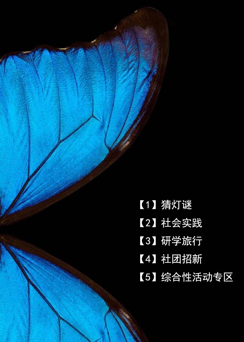 【11】活动专区（201份）